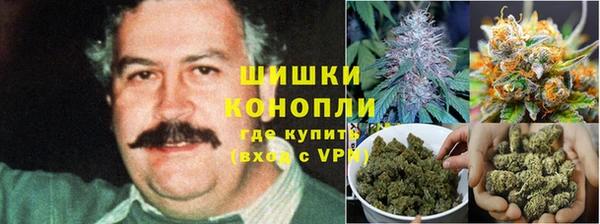 ГАЛЛЮЦИНОГЕННЫЕ ГРИБЫ Армянск