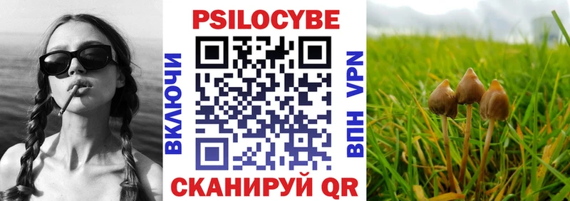 как найти Арсеньев omg ссылка Галлюциногенные грибы мухоморы